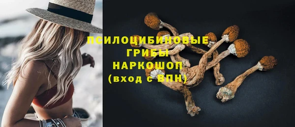 MDMA Верхний Тагил