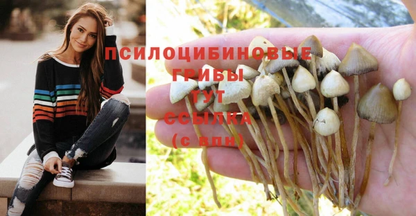 круглые Верея