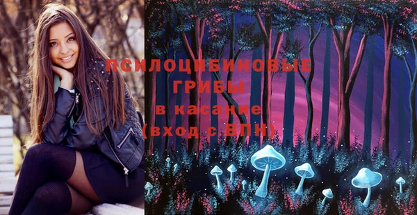 MDMA Верхний Тагил
