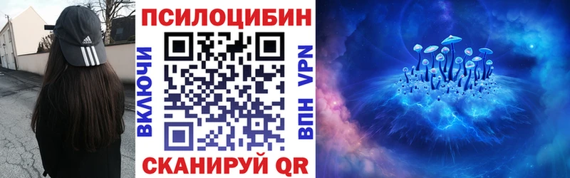 Купить где  Кирсанов  Псилоцибиновые грибы Cubensis 