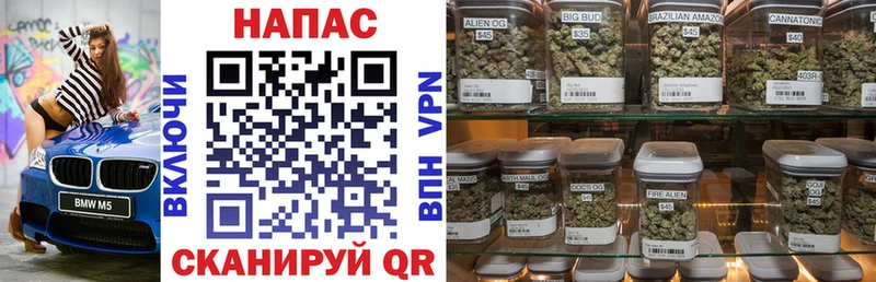 Бошки марихуана SATIVA & INDICA Кирсанов